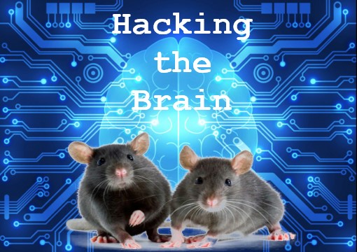 Hacking the brain